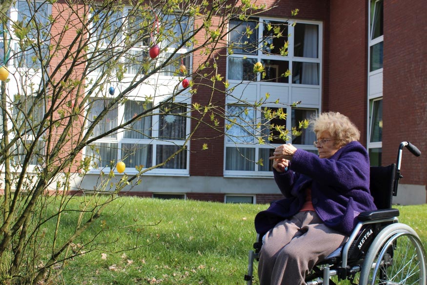 Ältere Dame im Rollstuhl hängt Ostereier an einen Strauch